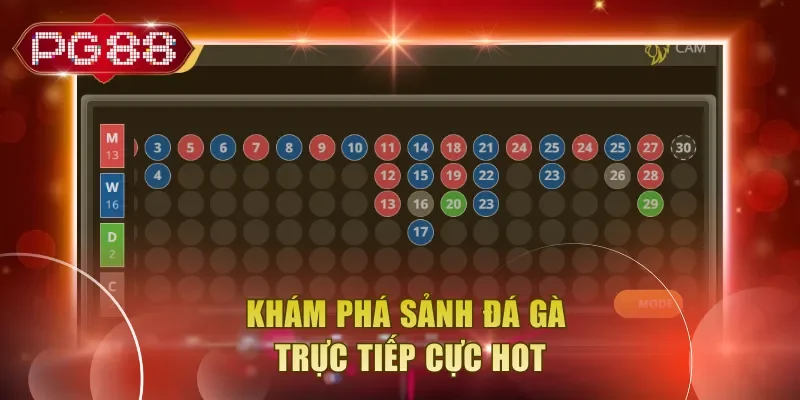 Khám phá sảnh đá gà trực tiếp cực hot
